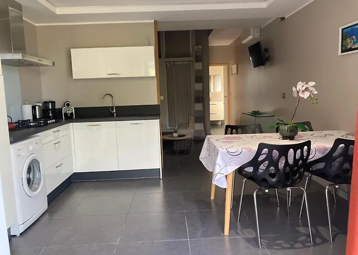 Locations Au Centre-ville De Porto-vecchio, Jardin, Terrasse, Parking Prive *