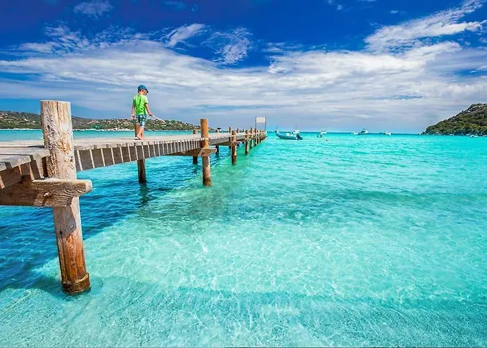 Locations Au Centre-ville De Porto-vecchio, Jardin, Terrasse, Parking Prive *