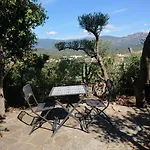 Locations Au Centre-ville De Porto-vecchio, Jardin, Terrasse, Parking Prive