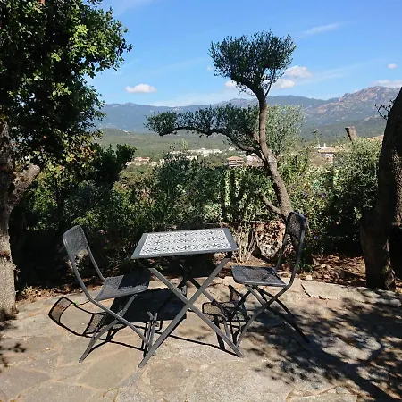 Locations Au Centre-ville De Porto-vecchio, Jardin, Terrasse, Parking Privé