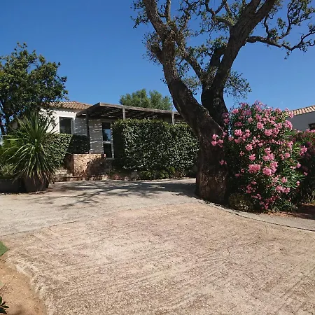 Locations Au Centre-ville De Porto-vecchio, Jardin, Terrasse, Parking Prive