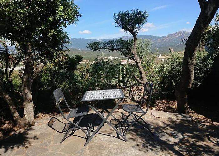 Locations Au Centre-ville De Porto-vecchio, Jardin, Terrasse, Parking Prive