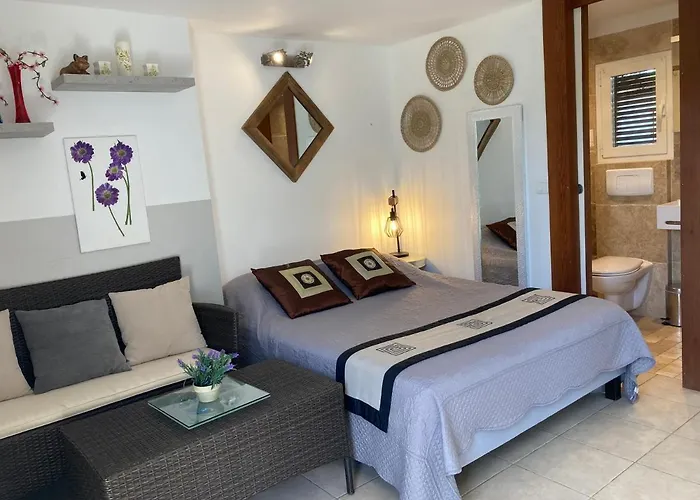 Locations Au Centre-ville De Porto-vecchio, Jardin, Terrasse, Parking Prive *