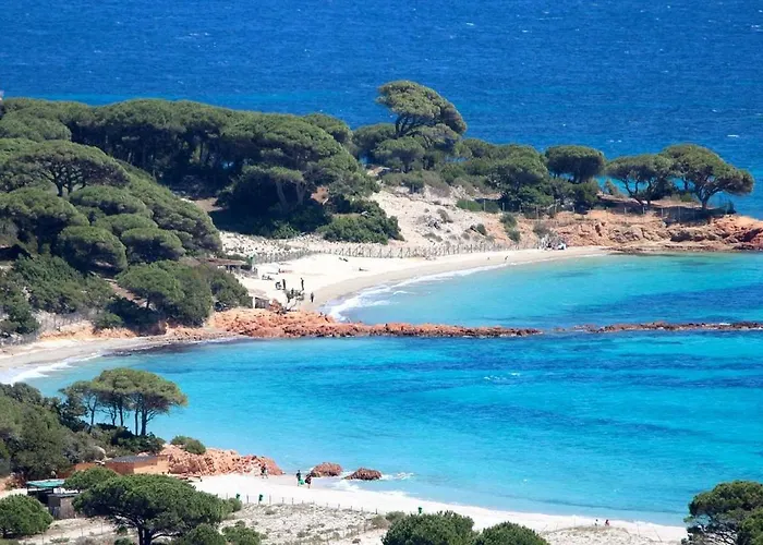 Locations Au Centre-ville De Porto-vecchio, Jardin, Terrasse, Parking Prive Порто-Веккьо